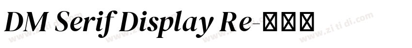 DM Serif Display Re字体转换